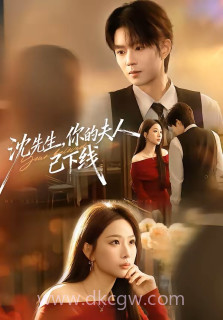 沈先生你的夫人已下线