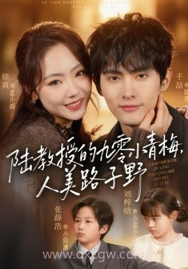 陆教授的九零小青梅,人美路子野